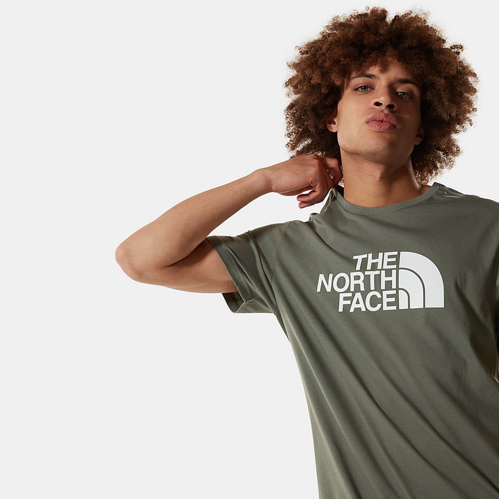 The North Face T-Shirts Mens Australia - The North Face Easy Green (QLG-940356)